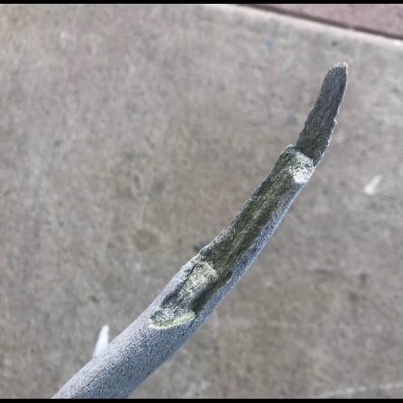 HOLD Vintage | Boho Deer Antler Rack Decor - Picture 13 of 16